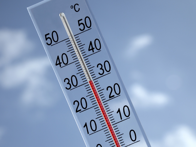 В середине недели в Архангельске ожидается тридцатиградусная жара
